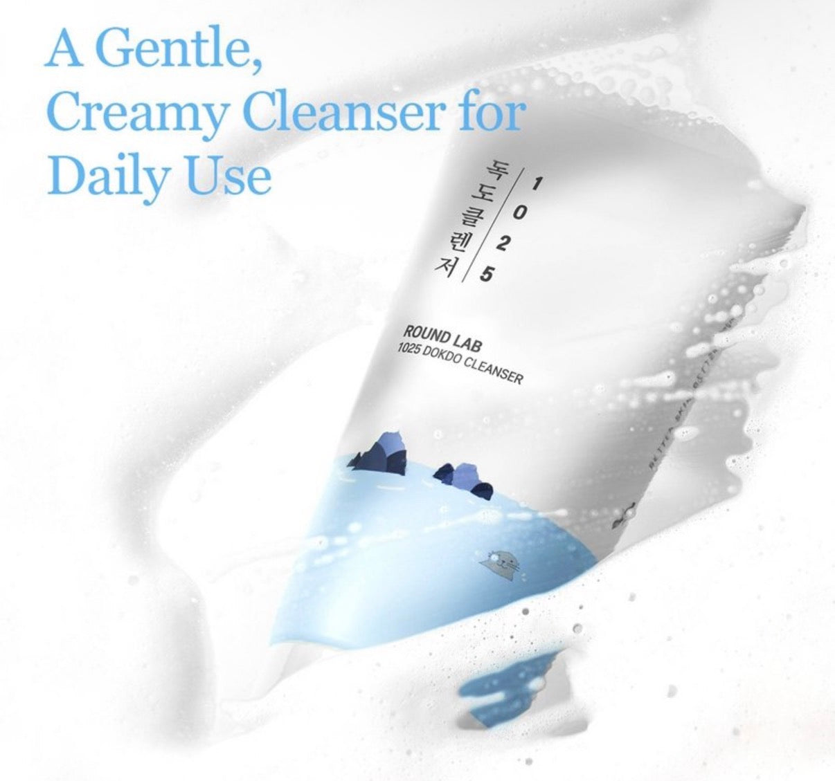 Round Lab Dokdo Cleanser
